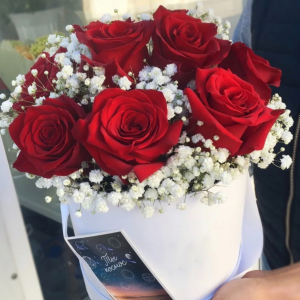 Коробка красные розы и белая гипсофила R1384