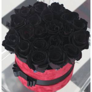 19 черных роз в коробке R828